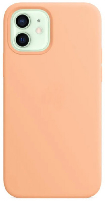 Чехол Silicone Case with Magsafe для iPhone 12/12 Pro Бежевый (Cantaloupe)