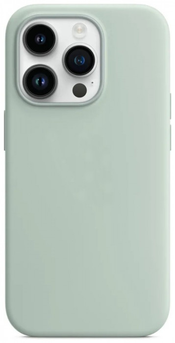 Чехол Silicone Case with Magsafe для iPhone 14 Pro Max Succulent | Фото 1 из 4