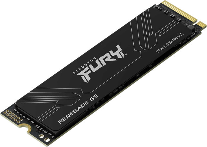 Накопитель SSD 1Tb Kingston FURY Renegade G5 (SFYR2S/1T0)