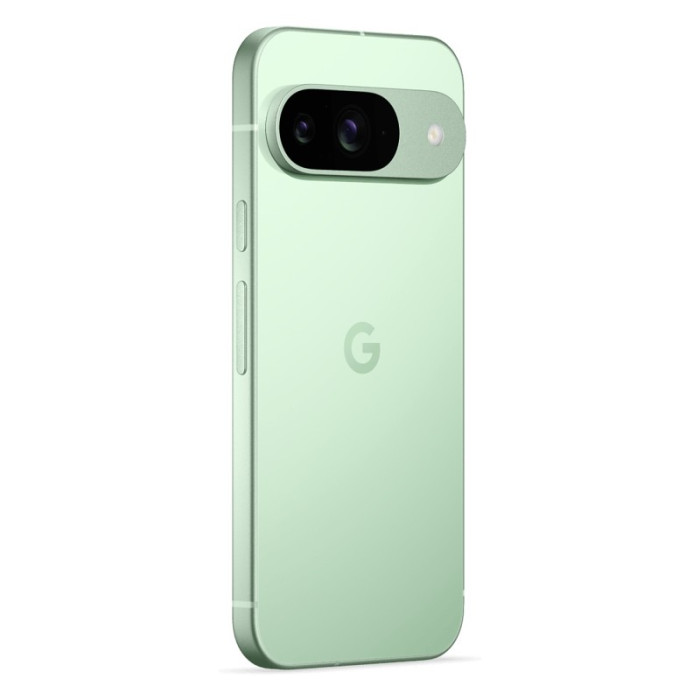 Смартфон Google Pixel 9 12/128GB Зеленый (Wintergreen)