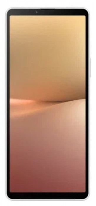 Смартфон Sony Xperia 10V 5G XQ DC72 8/128GB Белый (White)