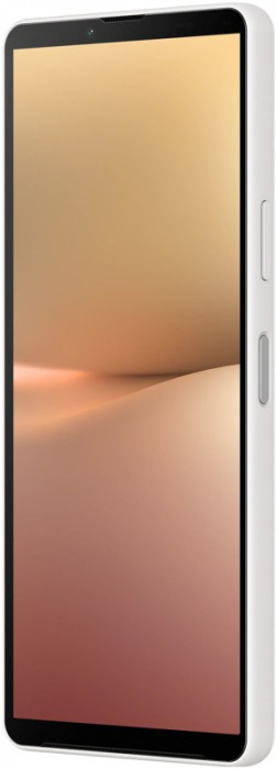 Смартфон Sony Xperia 10V 5G XQ DC72 8/128GB Белый (White)